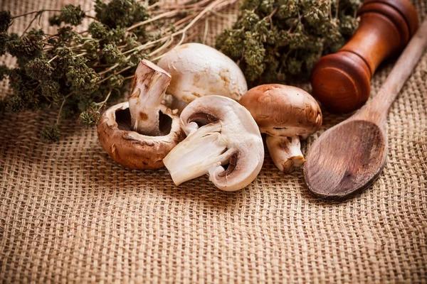 How Proper Storage Extends Shelf Life of CBD and THC Products