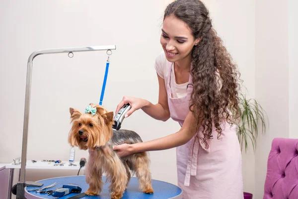 Shampoochi Day Spa Mobile Grooming Convenient Grooming for Dogs and Cats