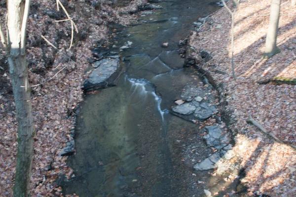 What Every Homeowner Should Know About Water Leaks Severna Park