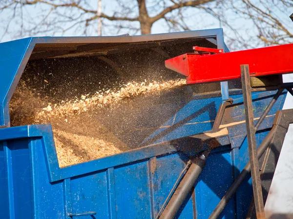 Local Tree Removal Service for Homes and Businesses