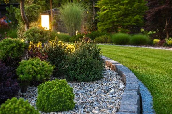 Professional Tree and Plant Landscaping Services